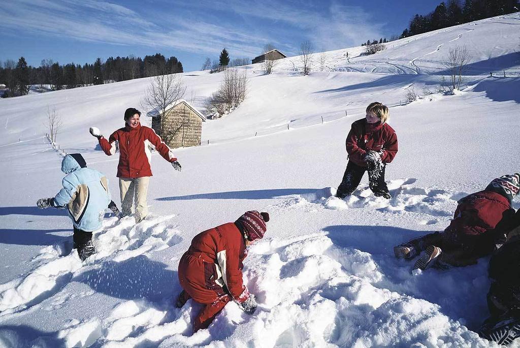 Apart Greber Andelsbuch Exteriér fotografie