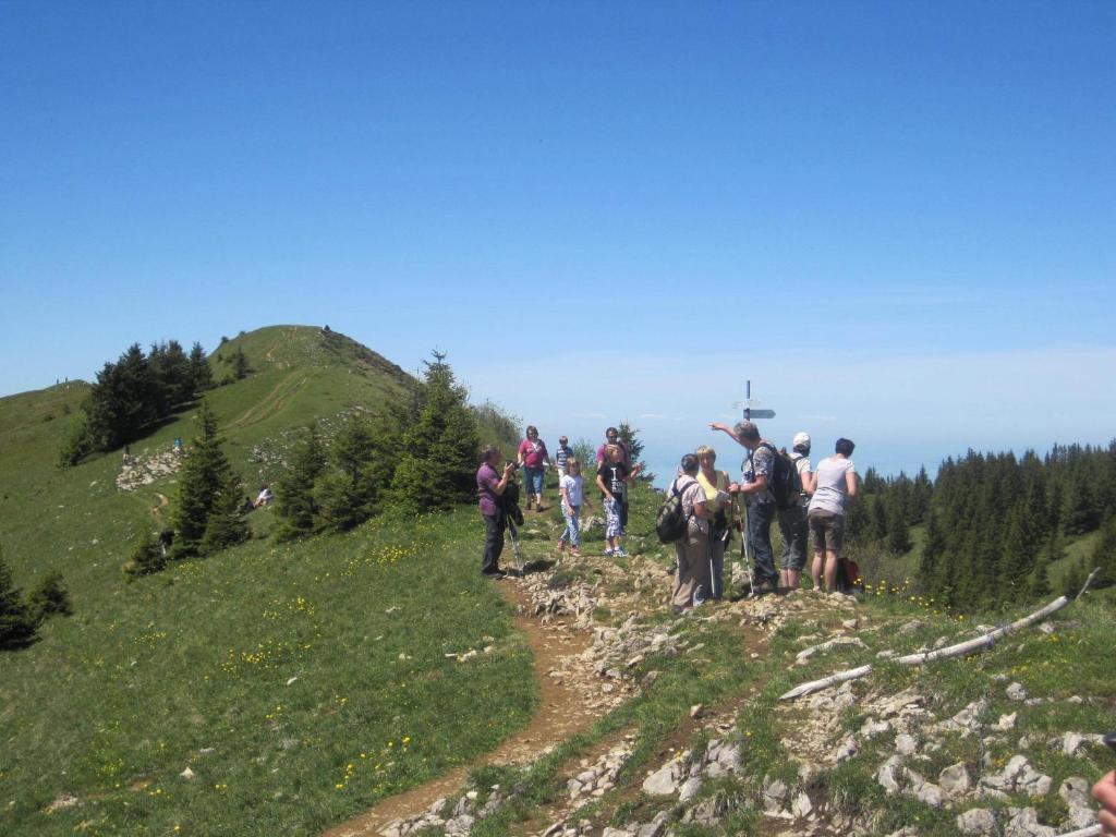 Apart Greber Andelsbuch Exteriér fotografie